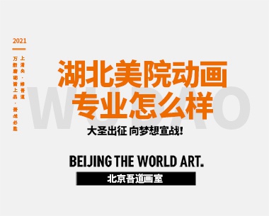 湖北美院动画专业怎么样（中外合作办学）