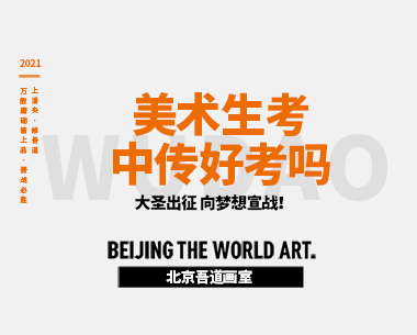 美术生考中传好考吗（中传录取11人）