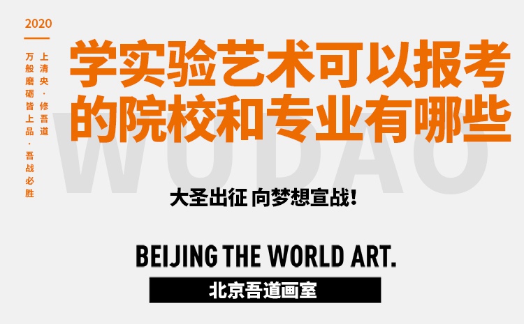学实验艺术可以报考的院校和专业有哪些
