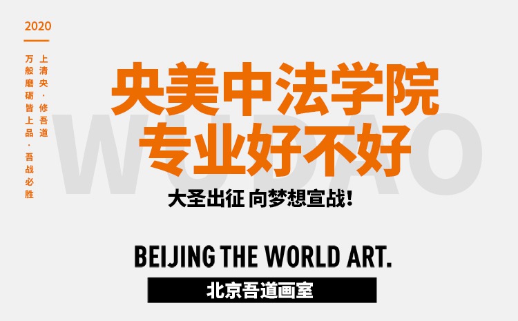 央美中法学院专业好不好-学什么-考什么