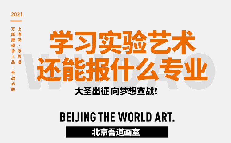 学习实验艺术还能报什么专业及它的优势是什么