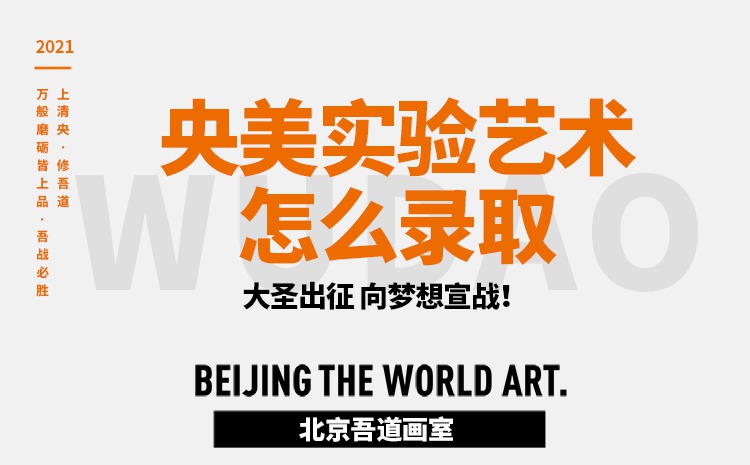 央美实验艺术怎么录取-录取原则及分数线是多少