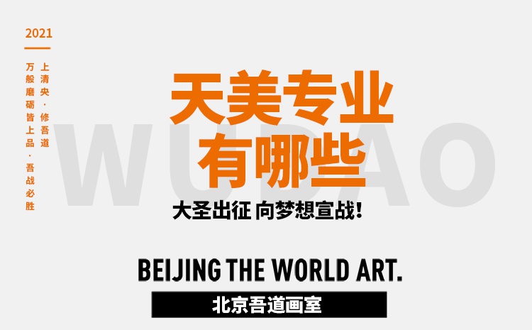 天美专业有哪些(天津美院专业介绍)