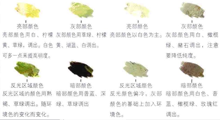 如何画色彩静物蔬菜