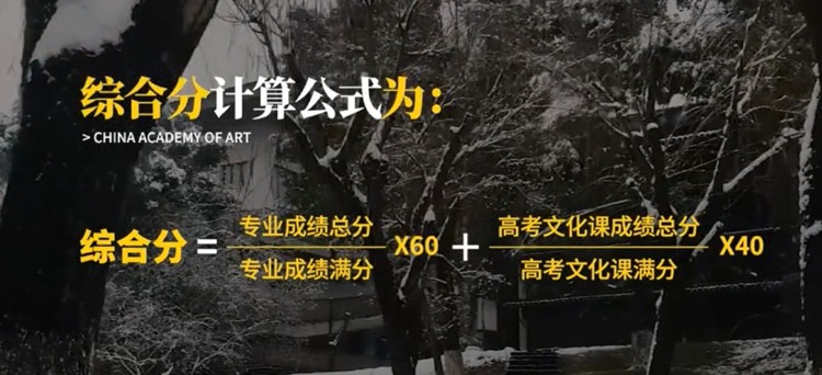 中国美院环艺专业考多少分能上（1）