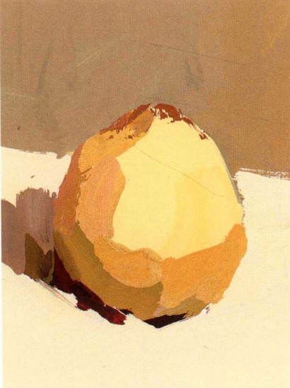 色彩黄梨的作画步骤（3）