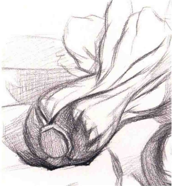素描啤酒杯和蔬菜的表现分析（2）